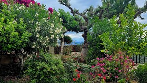 A lush garden with various flowering plants and trees, a stone wall, and a view of the sea. - Sea-view house with 360° rooftop in an olive grove — 2 hrs from Athens (Akrata)