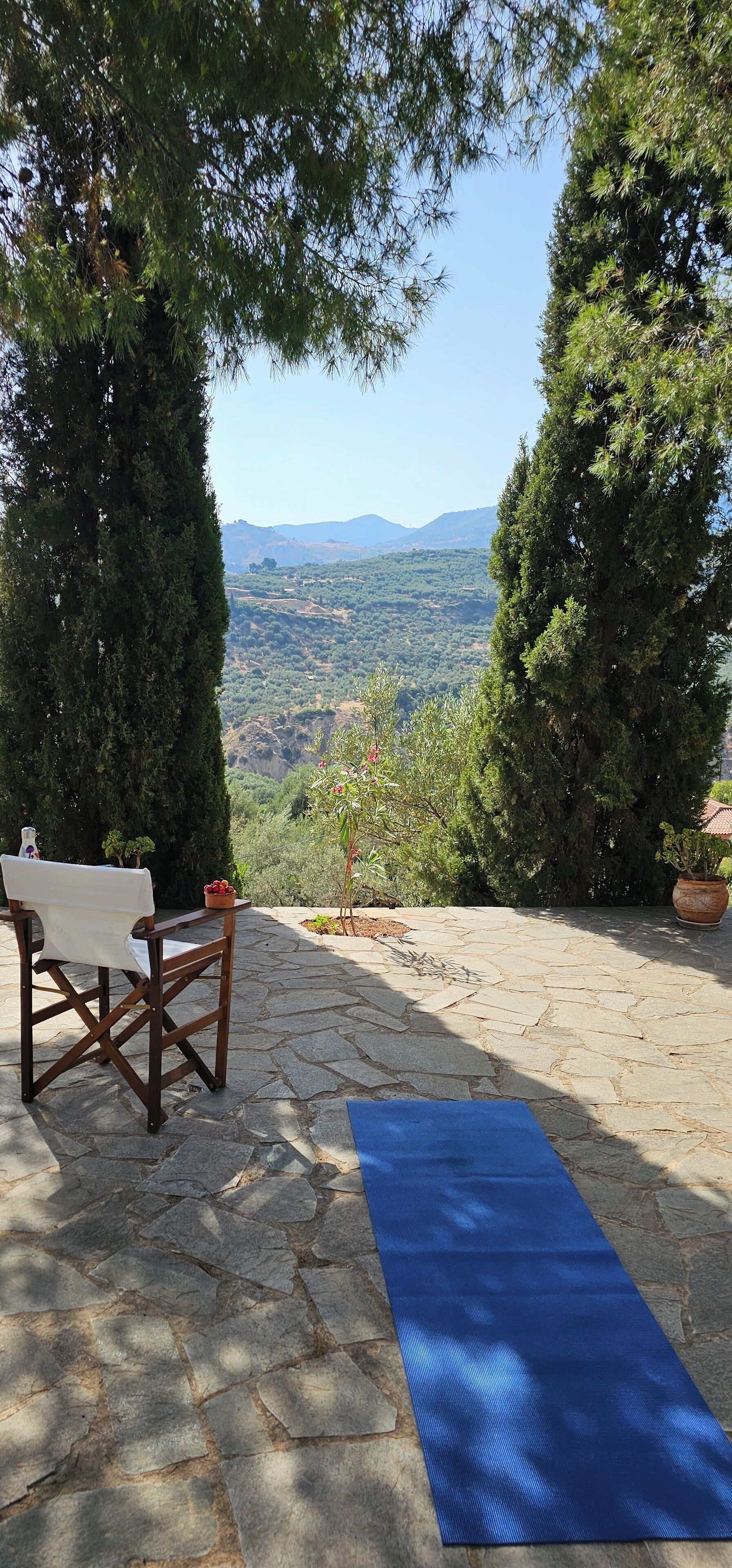A stone patio with a blue yoga mat, a wooden chair, and potted plants.