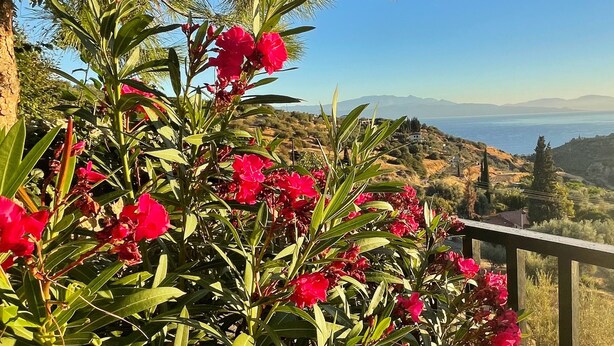 A scenic view from a balcony with red flowers in the foreground and a coastal landscape in the background. - Sea-view house with 360° rooftop in an olive grove — 2 hrs from Athens (Akrata)