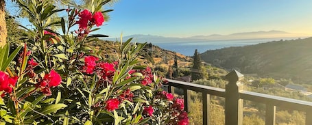 Property grounds. Peloponnese Hideout - white house with fantastic sea view and pet-friendly!