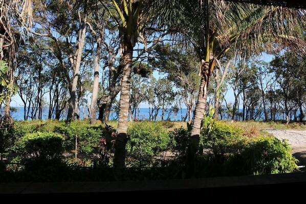 A coastal landscape with tall trees and a clear view of the sea.
