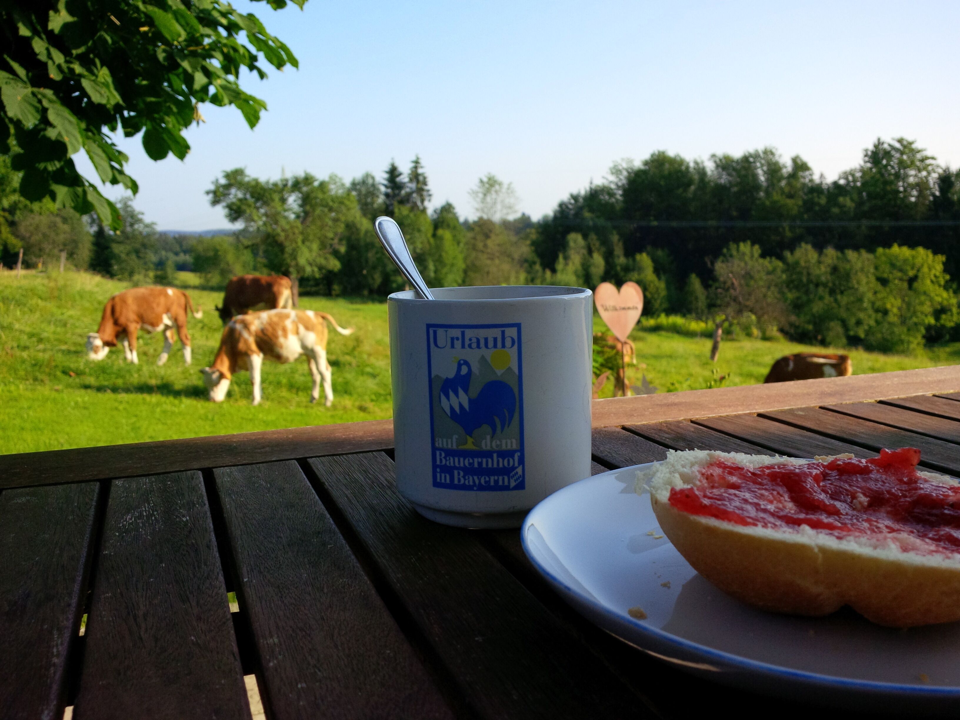 Essen und Trinken