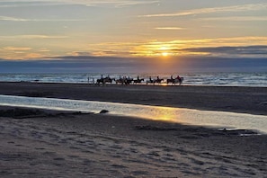 Beach nearby - Apartment in Belgium near Coastal Charm (Oostduinkerke)