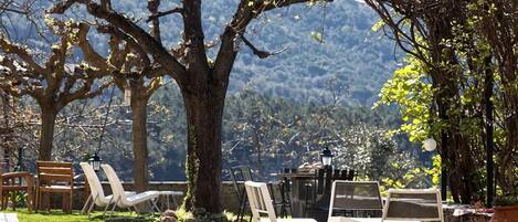 Restauration en plein air