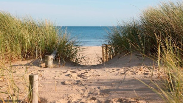 A sandy beach path leading to the sea, surrounded by tall grass.
