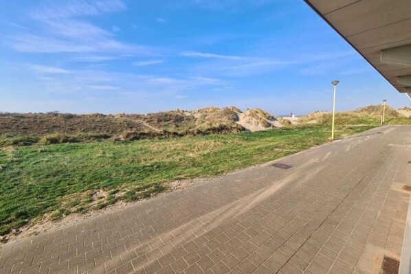 A paved pathway leading to a grassy area with dunes in the background.