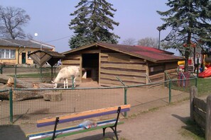 Parco della struttura