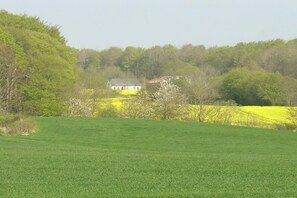 Golf - Holiday home Fraulund (Rügge)