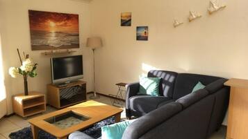 TV connectée, cheminée, chaßne hi-fi