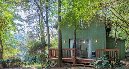 Modern Loft Carriage House