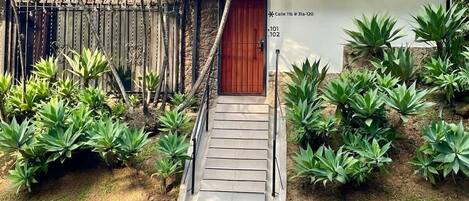 Detalle del exterior