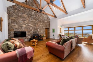 Télévision, cheminée