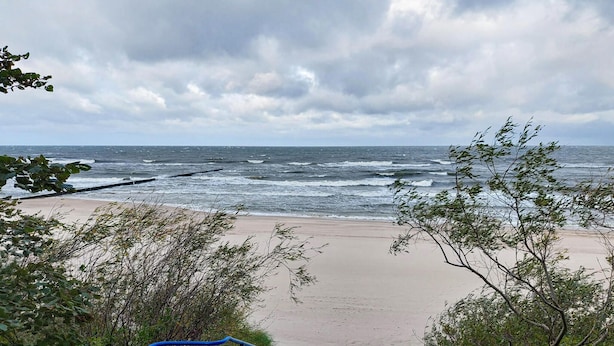 Une plage avec un escalier descendant vers le rivage, entourée d’arbres et offrant une vue sur l’océan.