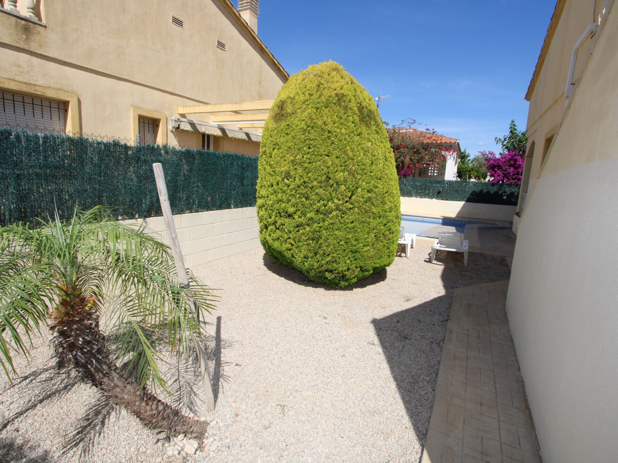 Un patio con un topiario cuidadosamente recortado, una planta de palma y un camino de ladrillo.