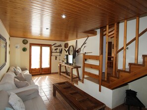 تلفزيون، مدفأة