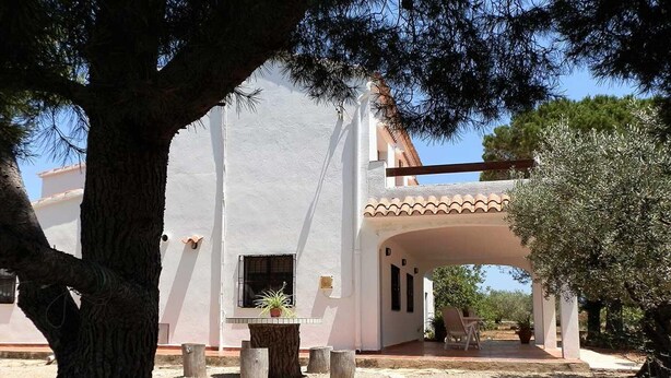 Un bâtiment blanc avec un toit recouvert de tuiles, un patio abrité et un grand arbre au premier plan.