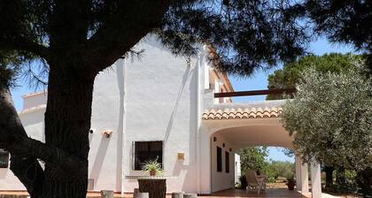 Ideales Ferienhaus: Nahe zum Strand, Privatpool, kostenloses WLAN, haustierfreundlich, Hundestrand