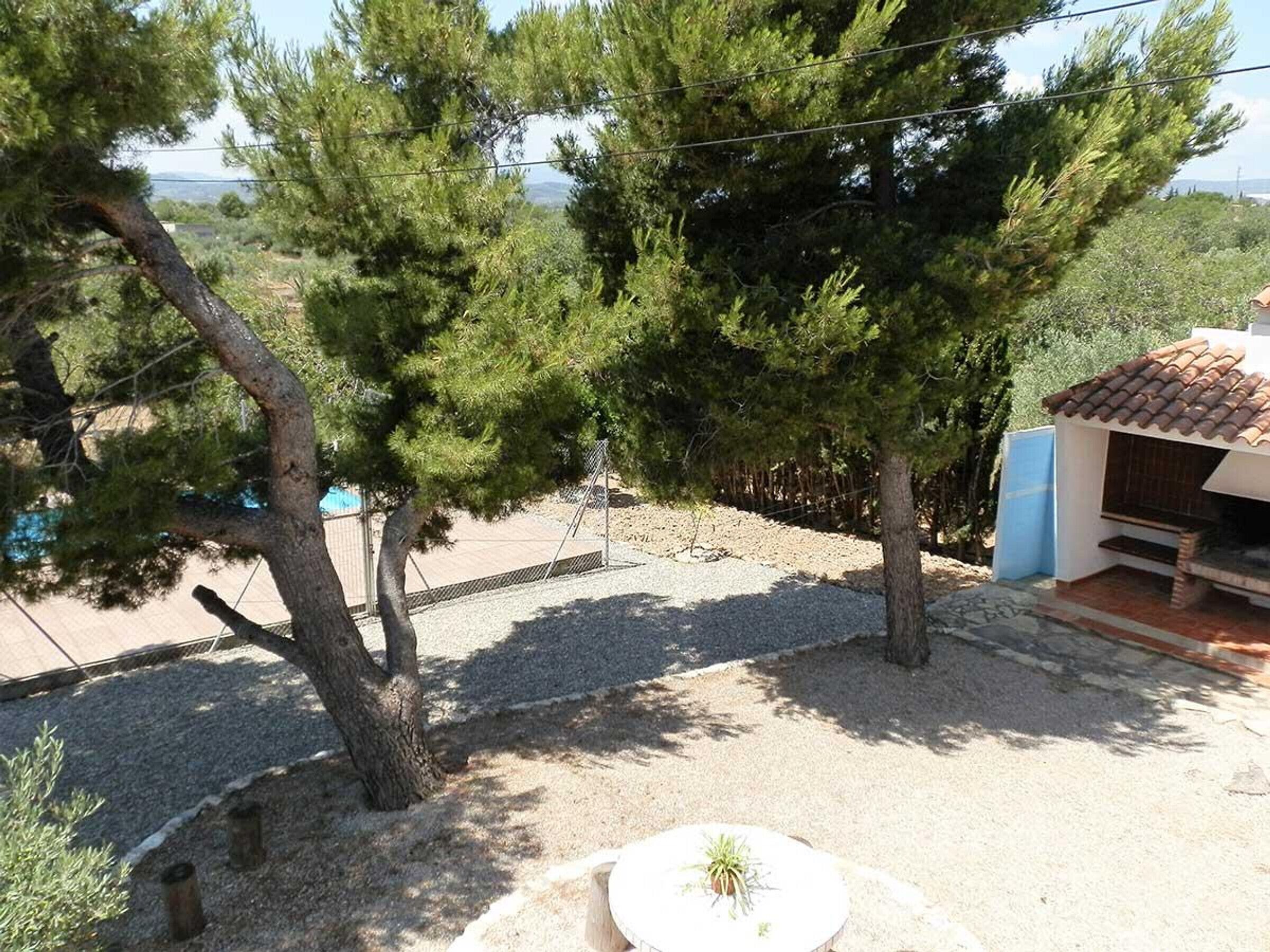 A patio area with a table and chairs, surrounded by trees and a small building with a tiled roof.