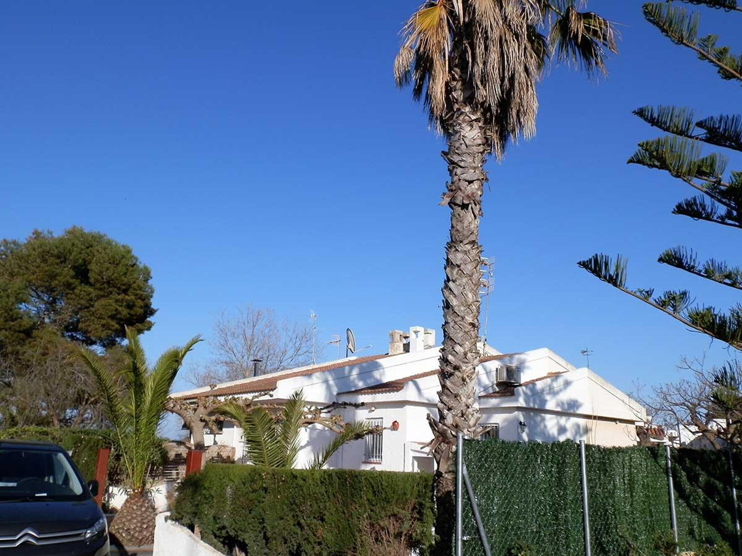 Une maison blanche avec un toit en pente, entourée de verdure et d’un palmier.