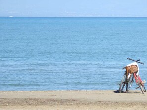 Beach - Family Retreat Near the Beach: Private Pool, Free Wi-Fi, Dog Friendly, Optional A/C (Deltebre)