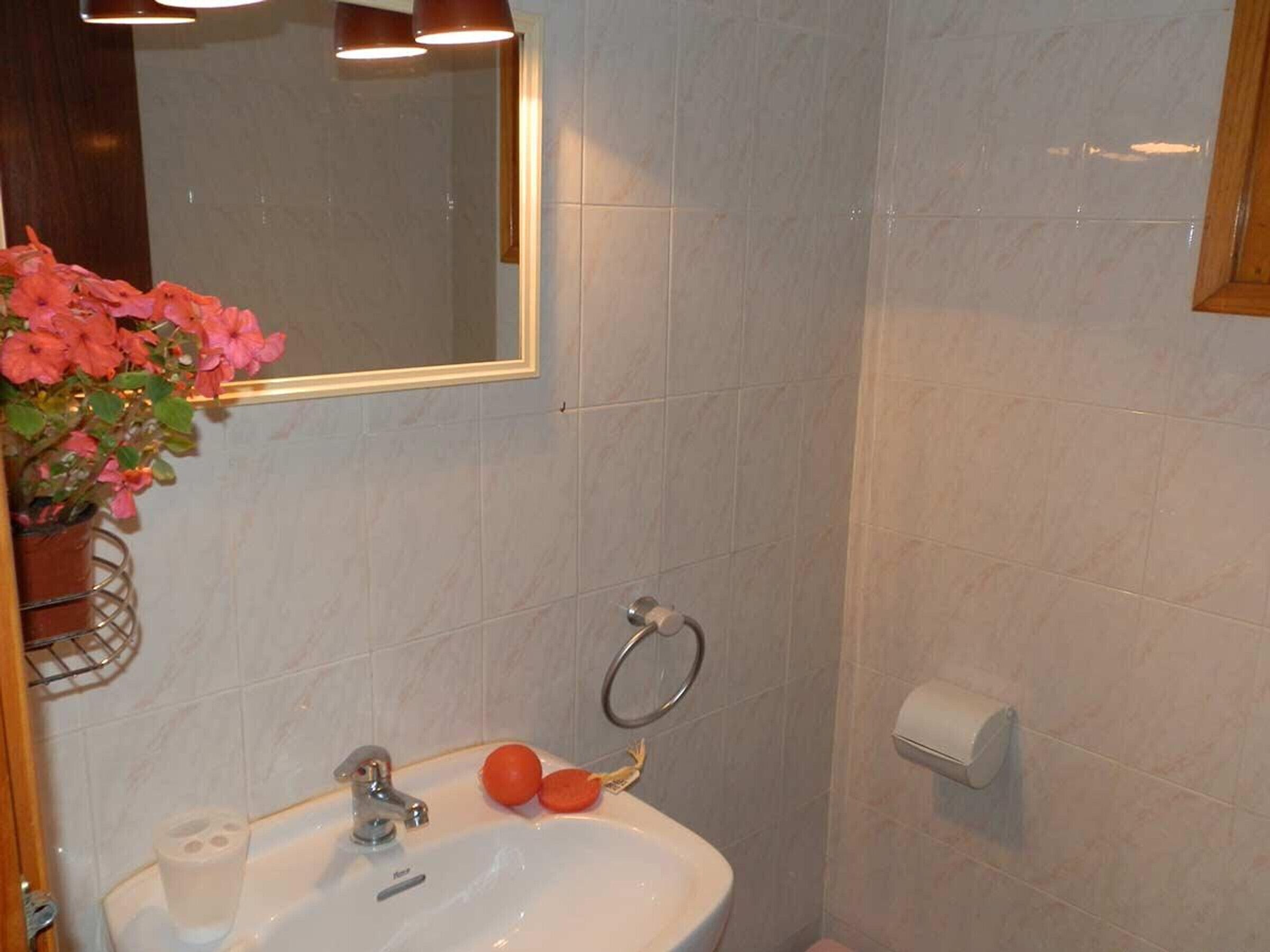 A bathroom with a white sink, a mirror, a toilet paper holder, and a potted plant with pink flowers.
