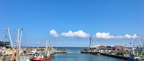 A harbor with multiple fishing boats docked, a clear sky, and a calm sea.