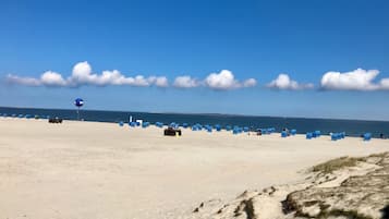Playa en los alrededores y camastros