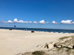 Perto da praia, espreguiçadeiras 
