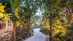 A pathway flanked by trees and plants, leading to a building with outdoor seating. - Stunning Studio Tulum Jungle w/ Pool Restaurant (Tulum)