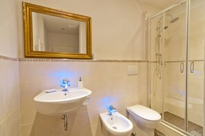 Shower, hair dryer, bidet, towels