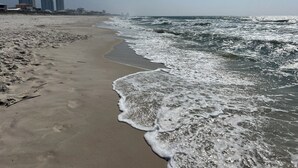 A beach with waves, a clear sky, and buildings in the background. - Beach Access, Lagoon, Fishing Pier and Pool (Gulf Shores)