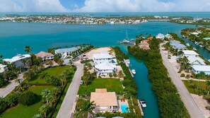 Unclassified image, 3 of 50, button