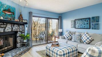 Smart TV, fireplace, books, music library