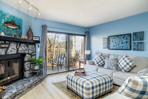 Smart TV, fireplace, books
