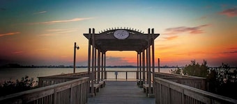 Small Dogs Allowed (up to 40 pounds total) * New Bayside Resort Luxurious 4BR,