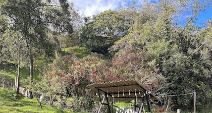 Hospedaje villa rosita