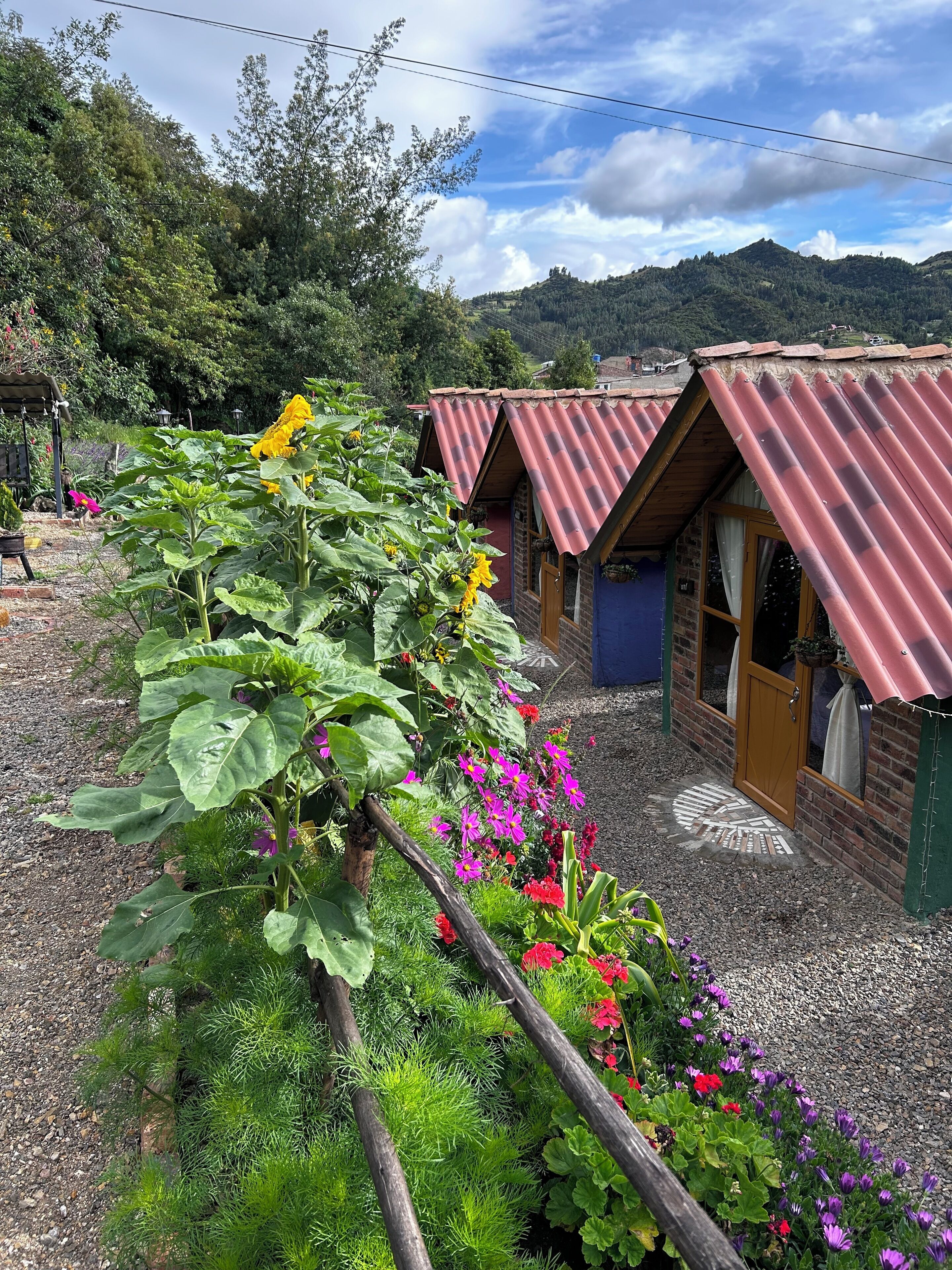 Un bâtiment rustique, doté d’un toit en tôle ondulée et d’une porte en bois, entouré d’un jardin où poussent diverses plantes et fleurs.