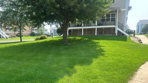 A well-maintained lawn with a large tree in the foreground and a building with a covered patio area in the background. - Capital City- 6 Miles from Madison with fireplace (Sun Prairie)