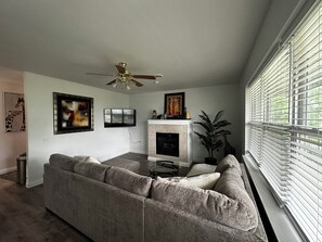 Smart TV, fireplace, books