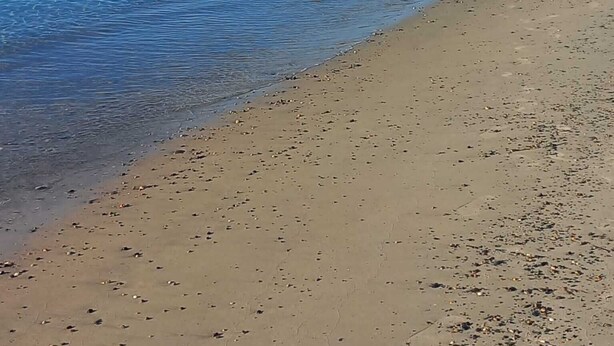 A beach with clear blue water, a sandy shore, and rocky hills in the background.