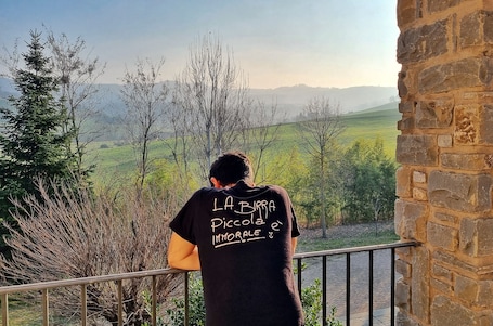 Property grounds. Spacious apartment " Le Vitterelle " in the green of the Terre dei Castelli