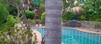 Cosy 6 Bedroomed Guest House  with a Jet Hot Tub and an Outdoor Swimming Pool 