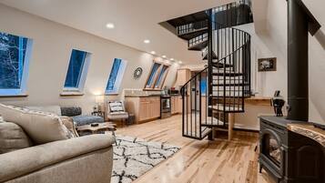 TV connectée, cheminée, lecteur de DVD, espaces bureaux