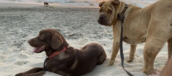 YAKU - The Spirit of Water, 2 minutes to the beach