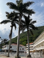 露台
