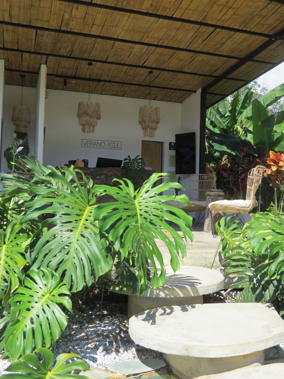 A covered outdoor area with a reception desk, tropical plants, and wicker furniture.