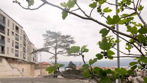 A road with a pedestrian crossing, a tree, and buildings in the background. - Holiday apartment with partial sea view (Vrbnik)