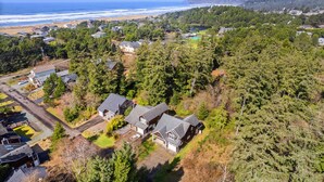 Vista aérea de una zona residencial con casas rodeadas de un bosque denso, una playa y montañas al fondo.