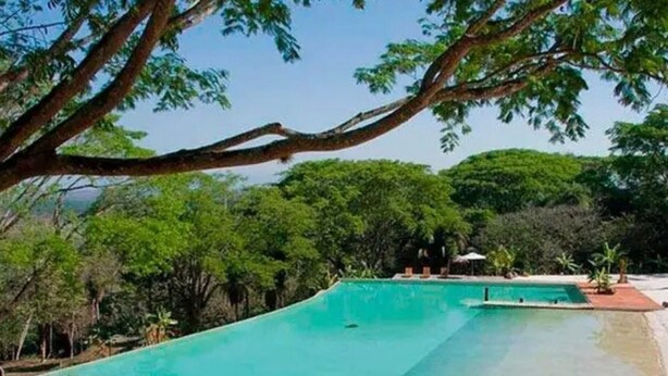 Ein rechteckiger Swimmingpool mit einer Holzterrasse, umgeben von üppigem Grün und Bäumen.