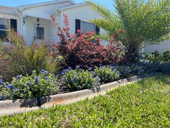 Exterior detail - Private Pool Oasis + Hot Tub ,Quiet Luxury in The Villages, Pet Friendly (The Villages)